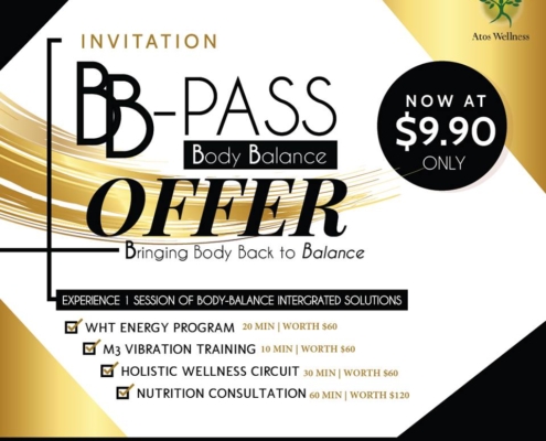bb-pass-2019